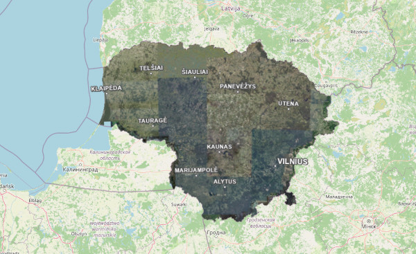 Lietuvos ortofotografinis žemėlapis